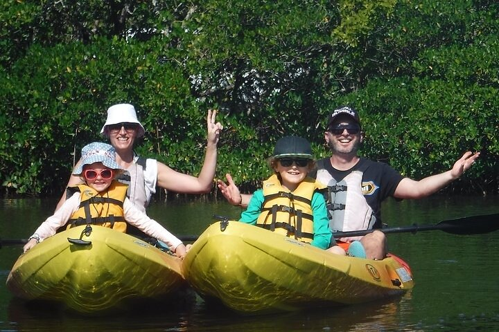 Guided Kayak Dolphin Eco Tour in Pelican Bay - Photo 1 of 6